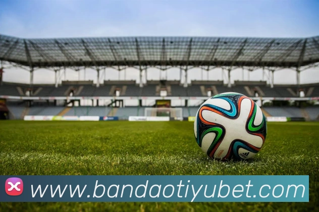 半岛体育APP 体育赛事宣传图